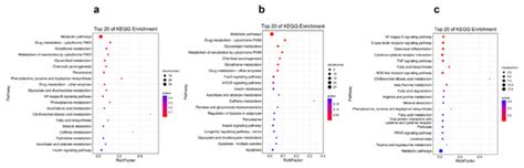 Comparative Transcriptomic Analyses Revealed the Effects of Poly (I:C ...