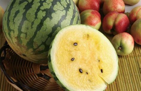 常见的西瓜种类有哪些_水果种植网 - 撒哈拉