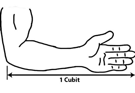 Image result for Measuring the Length Using Cubit