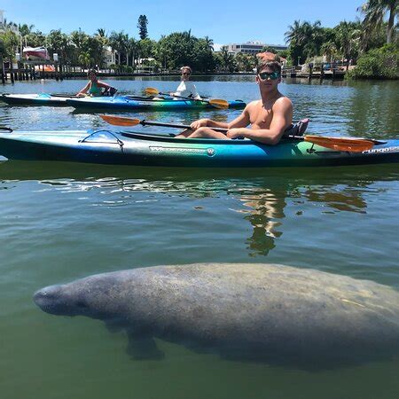 Palmetto Photos - Featured Images of Palmetto, FL - Tripadvisor