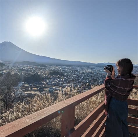 Image result for Python Script Icon for PPT
