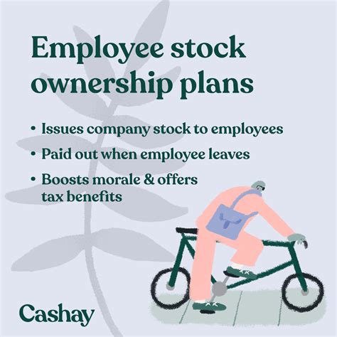 Ownership Chart 的图像结果