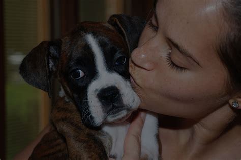 Home - Olney-Sandy Spring Veterinary Hospital