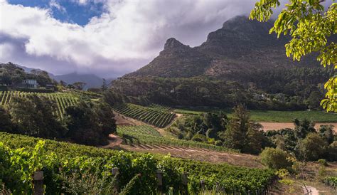 Most Memorable Tastings | Andrew Harper