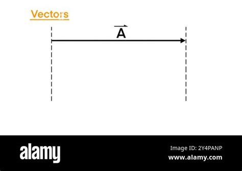 Vector in Math 的图像结果