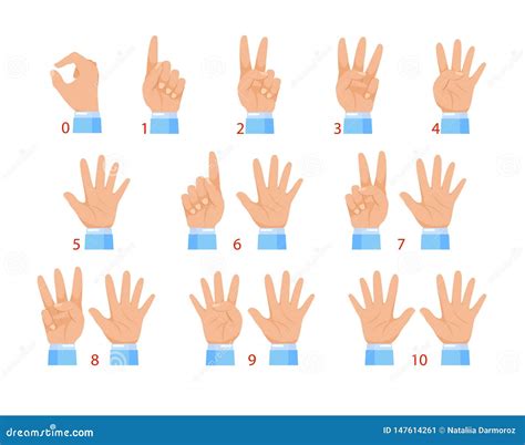 Vector Illustration of Hands and Numbers by Fingers. Human Hand and ...