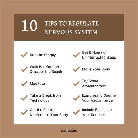 How to Regulate Nervous System: 12 Best Tips for Muslims