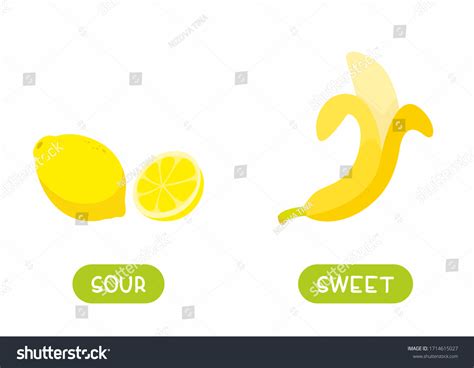 Antonyms Concept Sour Sweet Educational Flash Stock Vector (Royalty ...