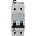 Legrand DX 3 32-Amp 2-Pole C Curve MCB 408636 (White) : Amazon.in: Home ...