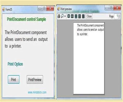 Print Form VB.NET 的图像结果