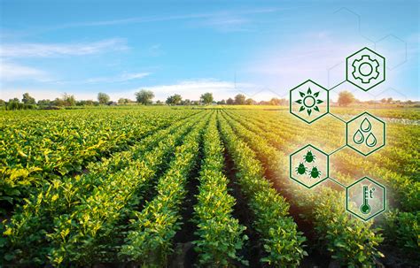 益健生态农业基地-上海美满人生生物科技有限公司