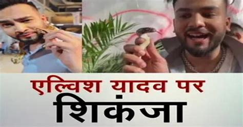सापों से खिलवाड़ पर एल्विश यादव को नोटिस, नोएडा वन विभाग ने शुरू की ...