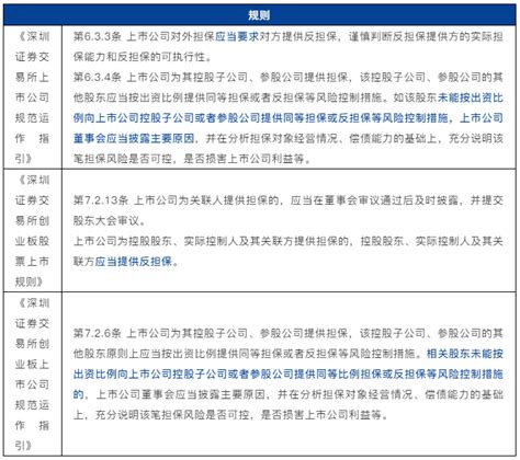 股份有限公司对外担保管理制度范本Word模板下载_熊猫办公