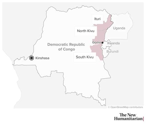 The New Humanitarian | What’s behind the anti-peacekeeping protests in DR Congo?