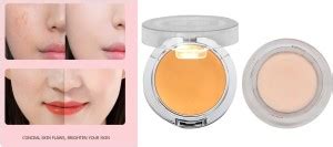 BLUEMERMAID NEW SKIN BRIGHTENING 2 IN 1 PRIMER AND CONCEALER FOR SKIN ...