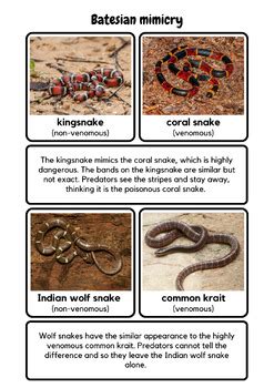 Image result for Applications of Greedy Algorithm
