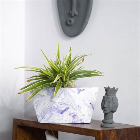Trisq Geometric Table top Planter for Gift or Decor, Customised plante ...