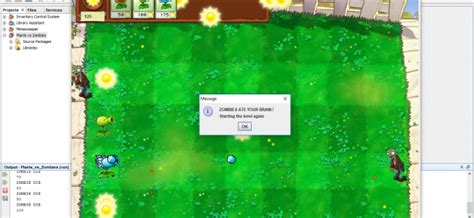 Image result for PvZ Source Code