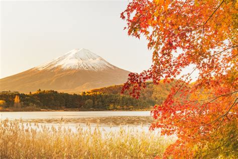 Our Guide to The Fuji Five Lakes | Japan Wonder Travel Blog
