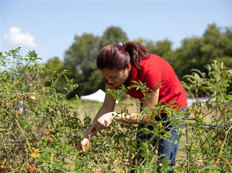 Community Farm at Mill Ridge | The Nashville Food Project