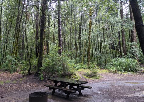 Hendy Woods State Park Camping | The Dyrt