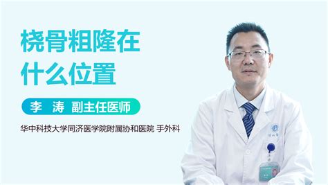 胫骨粗隆 的图像结果