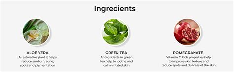 Auravedic Pure Aloe Vera Gel With Green Tea – Pack of 2 (200gm Each ...