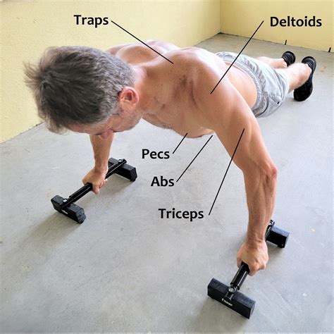 Push Up Muscles Worked Diamond Triangle Push Up Benefits, Muscles