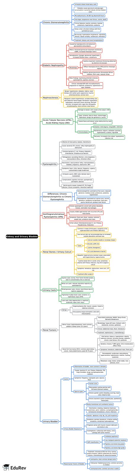 Mind Map: Kidney and Urinary Bladder -2 - Pathology - NEET PG PDF Download