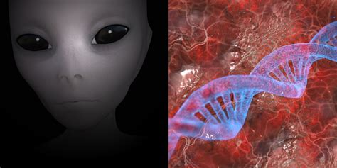 Alien Blutgruppe 的图像结果