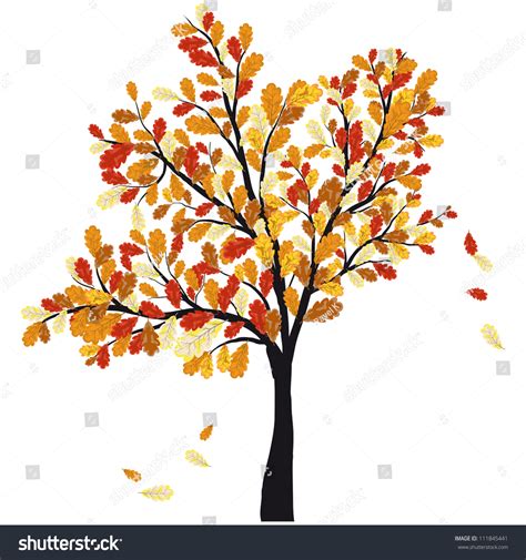 Oak Tree In Fall Leaves