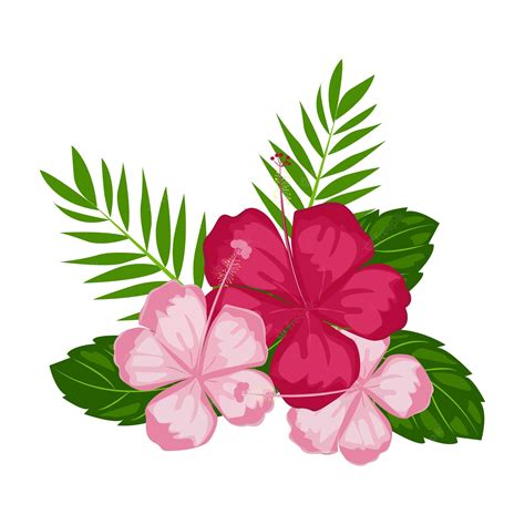 Pink Hawaiian Flower Clipart
