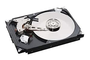 Amazon.in: Buy Dell M40TH 8TB 7.2K 12G LFF SAS 512E Hard Drive Online ...