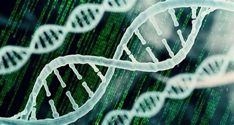 Bioinformatics 的图像结果