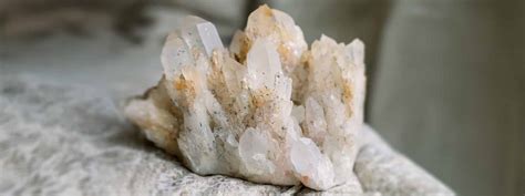 Element Earth Tree 的图像结果