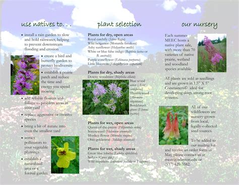 Gardening with Native Plants - Marianist Environmental Education Center, Ohio | PDF
