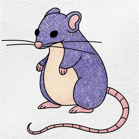 Drawing Rat Drawing at Phyllis Mosier blog