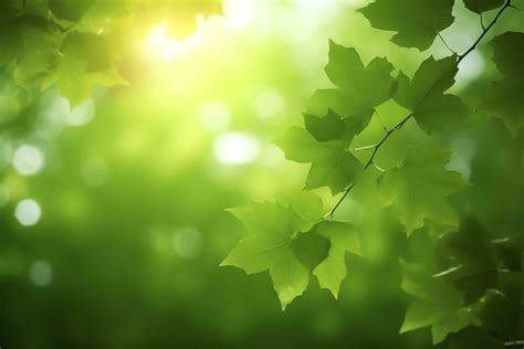 Environment Cover Page 的图像结果