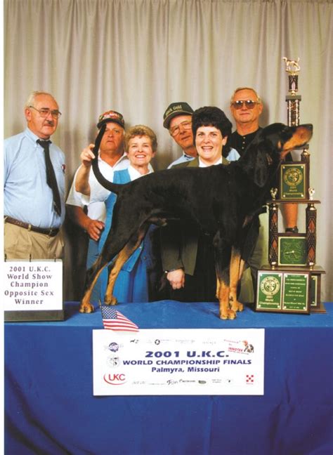 Coonhound World Championship Historical Winners List | United Kennel ...