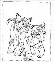 tiger malvorlagen zum ausdrucken kostenlos ausmalbilder zum ausdrucken ausmalbilder tiger tiger malvorlagen zum ausdrucken kostenlos ausmalbilder zum ausdrucken ausmalbilder tiger