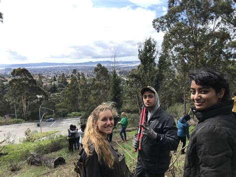 DECAL – UC Berkeley MEDLIFE