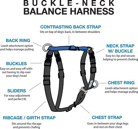 Blue 9 Balance Harness