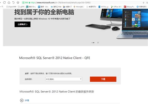 Image result for How to Add SQL Native Client 11