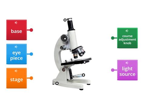 Image result for Microscope Labeled