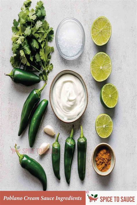 Easy & Quick Poblano Cream Sauce Recipe