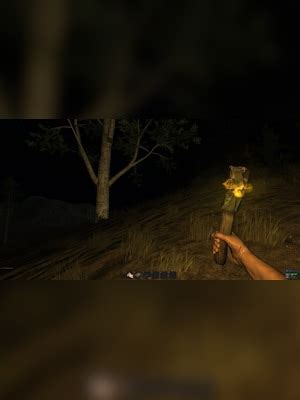 Image result for Rust Beta Key