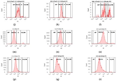 ROS-Induced DNA-Damage and Autophagy in Oral Squamous Cell Carcinoma by ...