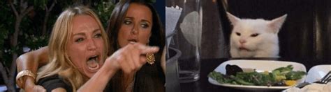 Woman Yelling At Cat Meme Template - prntbl.concejomunicipaldechinu.gov.co
