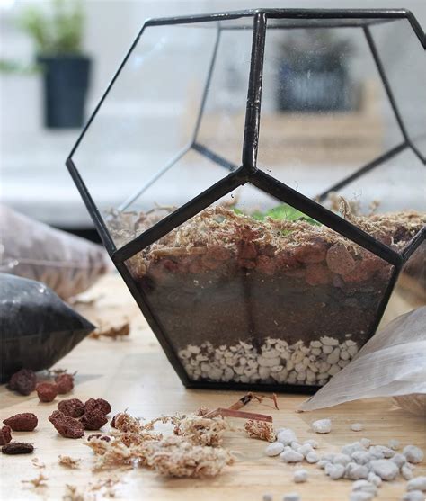 Buy Succulent Terrarium Planter Kit, DIY Set with Soil, Pumice ...