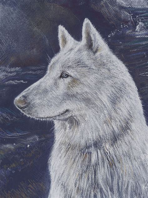 Hi, I thought I'd share my recent dog portrait of a Siberian Husky, in ...